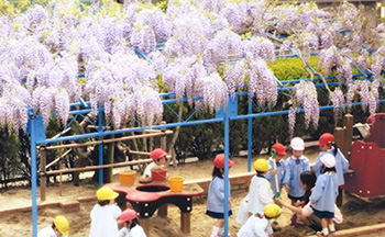 草花とのかかわり　写真2